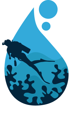 Deep Blue 31