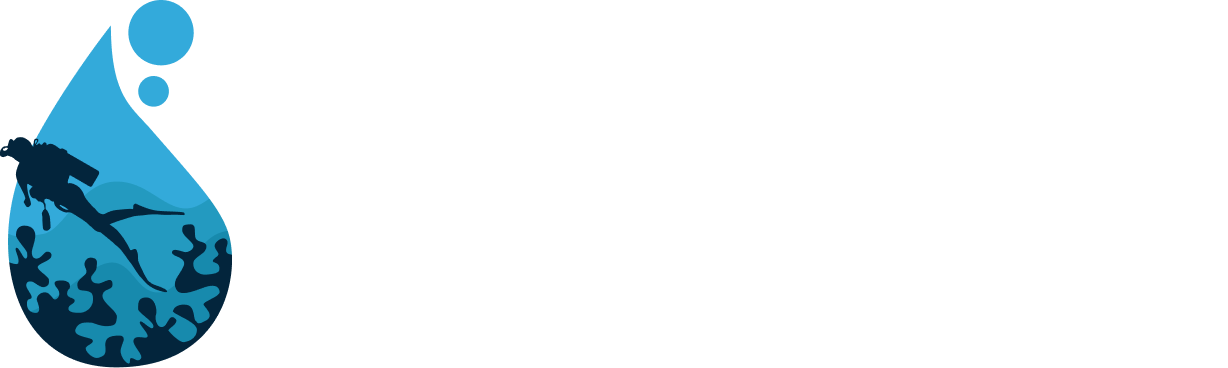 Deep Blue 31 - Association de plongée sous-marine à Toulouse